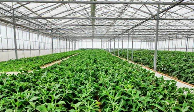 安保化方案使用规范与维护建议